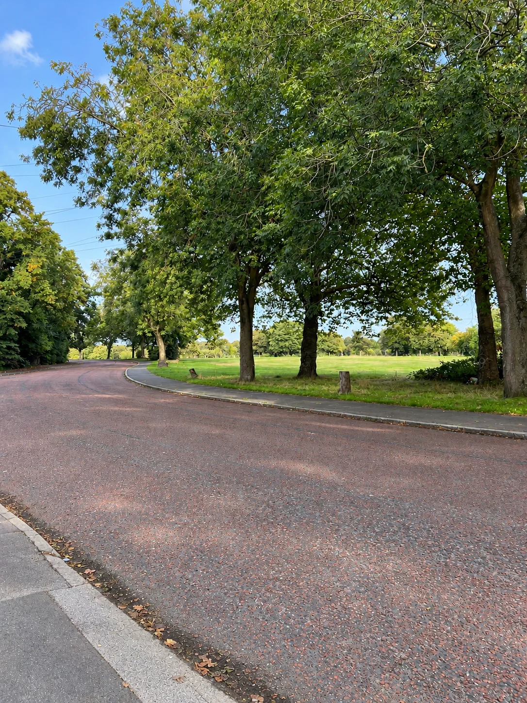 View of Newsham Park near Manere Serviced Apartments
